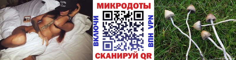 Галлюциногенные грибы MAGIC MUSHROOMS  цена   Батайск 