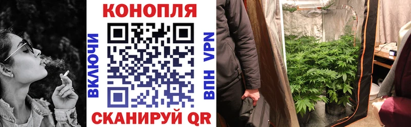 купить  цена  Батайск  Конопля конопля 